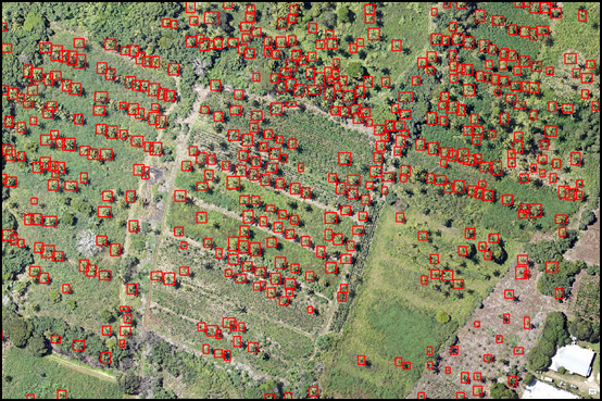 Result of deep learning tools showing the identification of palm trees on a color aerial image