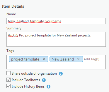 Item details for the project template