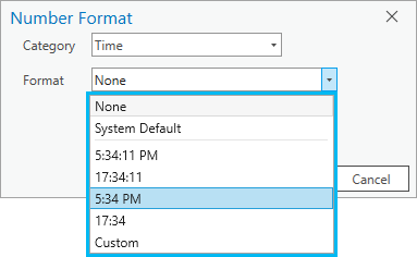 ArcGIS Pro formatting options for the time only data type