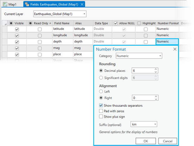 Numeric field formatting options