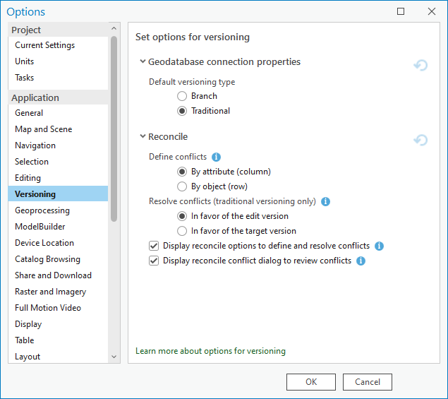 Versioning Options tab from ArcGIS Pro project settings