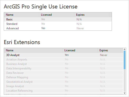 Single-Use-Lizenzinformationen in ArcGIS Pro