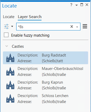 Erweiterte Layer-Suche mit einem Sternchen im Bereich "Suchen"