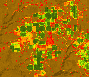 Beispiel für die Farbgebung durch NDVI