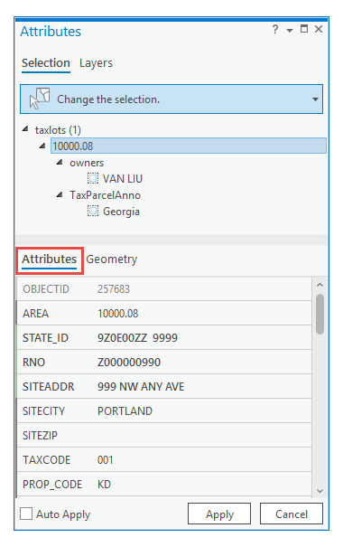 Registerkarte "Attribute"