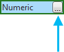 Schaltfläche "Anzeigeformatierung für numerische Feldtypen festlegen"