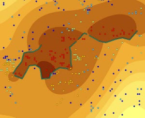 Diffusionsinterpolation ohne Kostenoberfläche