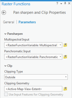 Parameter der Raster-Funktionsvorlage