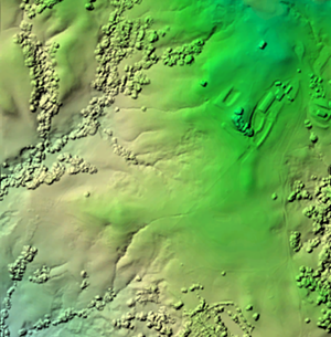 DSM-Raster DSM-Raster