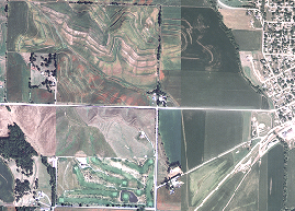 Ungefiltertes Farbbild Ungefiltertes Farbbild