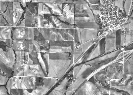 Ungefiltertes Graustufenbild Ungefiltertes Graustufenbild