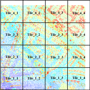 Zeilen- und Spaltenbenennung Zeilen- und Spaltenbenennung