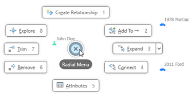 Menü "Radial" für ausgewählte Entitäten und Beziehungen in einem Verbindungsdiagramm