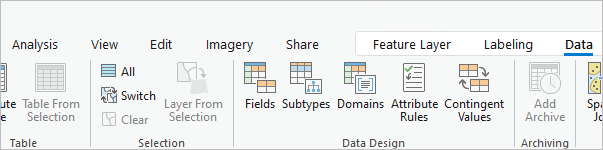 Die Schaltflächen "Felder", "Subtypes" und "Domänen" auf der Registerkarte "Daten"