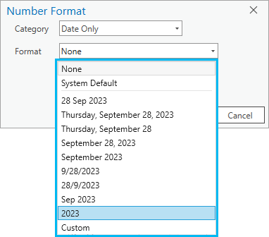 Optionen für die Formatierung von Feldern mit dem Datentyp "Nur Datum" in ArcGIS Pro