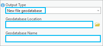 Im Werkzeug "Daten aus Geodatabase extrahieren" ist "Ausgabetyp" auf "Neue File-Geodatabase" festgelegt.