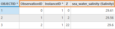 Ein Beispiel für die Ausgabetabelle des Werkzeugs "NetCDF-Profile in Feature-Class"