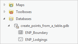 New feature class in the project geodatabase