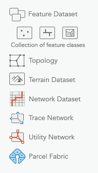 Supported data types within an ArcGIS Pro feature dataset.