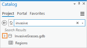Catalog pane showing search results that include a geodatabase