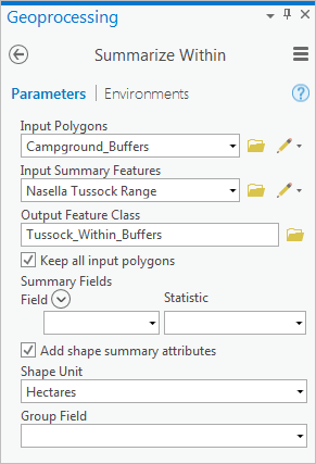 Summarize Within tool parameters
