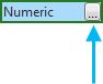 Determine display formatting for numeric field types button