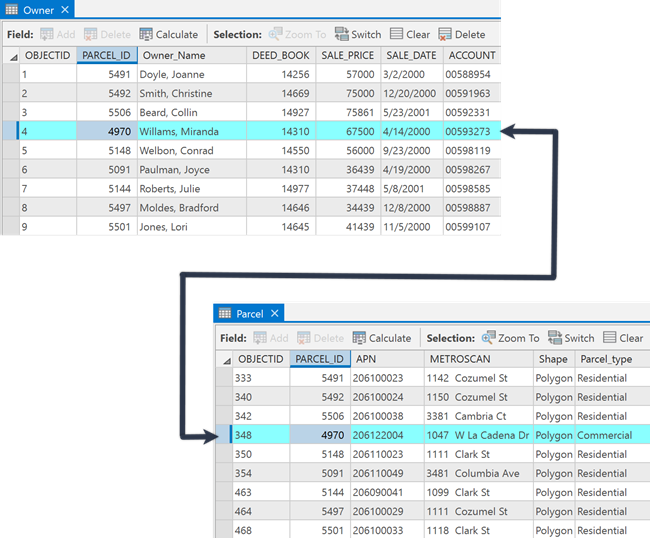 Feature and attribute storage in tables