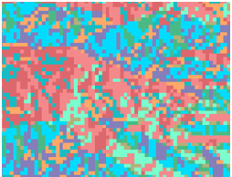 Raster of an area at a coarse resolution