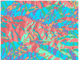 Raster of an area at a fine resolution