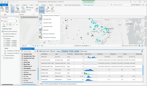 Data Engineering view and ribbon