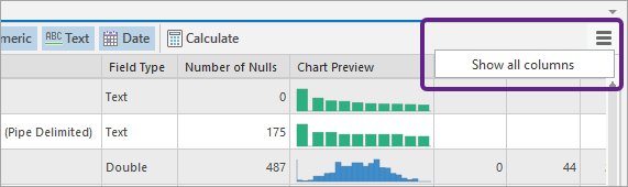 Show all columns option