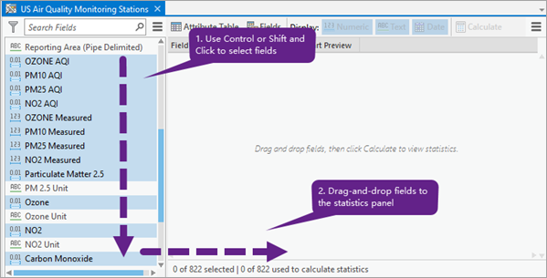 Select and drag fields to the statistics panel