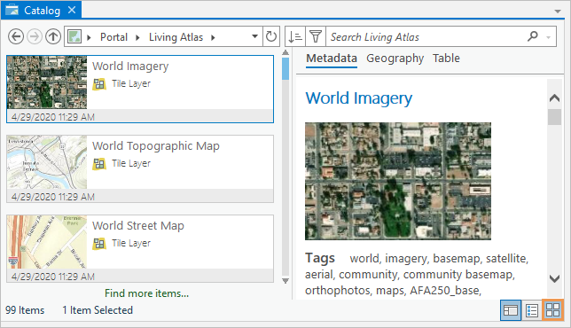 The catalog view shows item properties and thumbnails on tiles and item metadata to help you explore unfamiliar items.