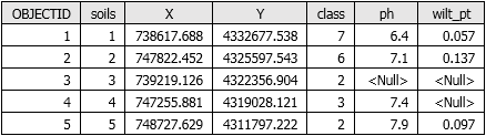 Example output table from Sample for a two-dimensional input raster