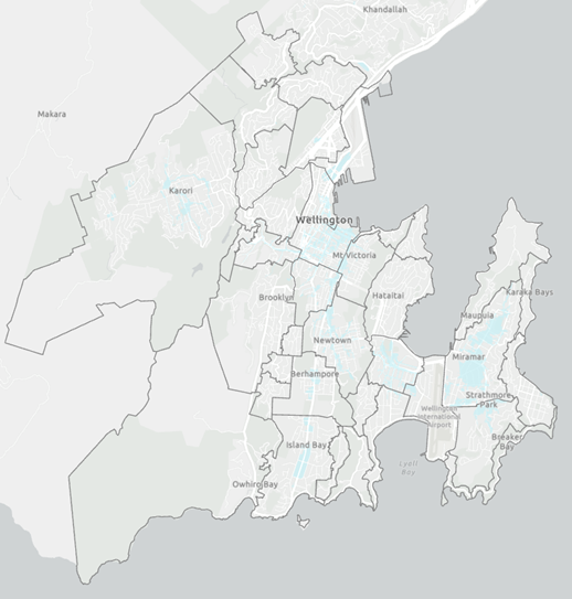 Light gray basemap displaying Wellington, New Zealand