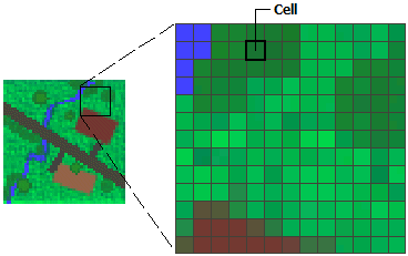 The cells in a raster