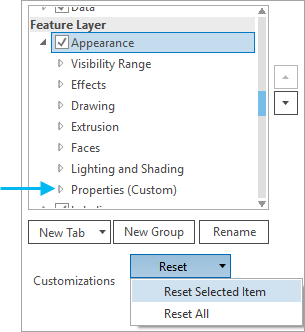 Selected tab with the Reset Selected Item command highlighted