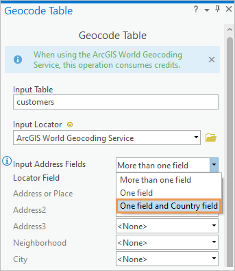 Geocode Table tool