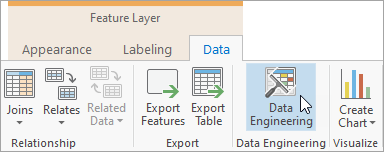 Data Engineering button on the Data contextual tab
