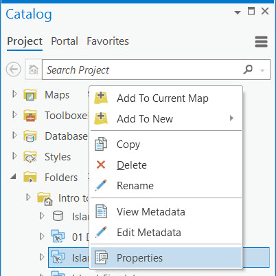 Properties option on the context menu in the Catalog pane