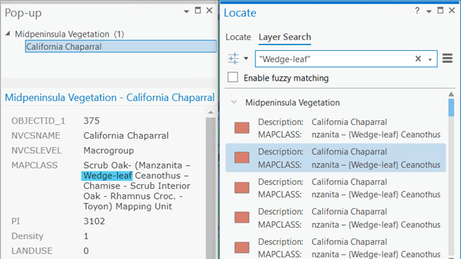 Enhanced layer search with double quotes in the Locate pane