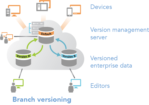 Editing with branch versioning