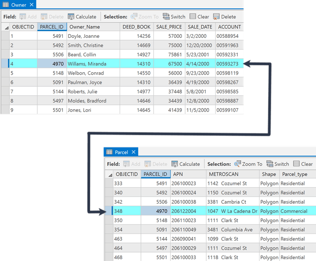 Feature and attribute storage in tables