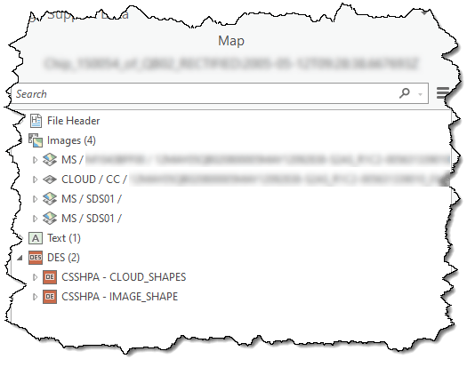 Image Support Data pane