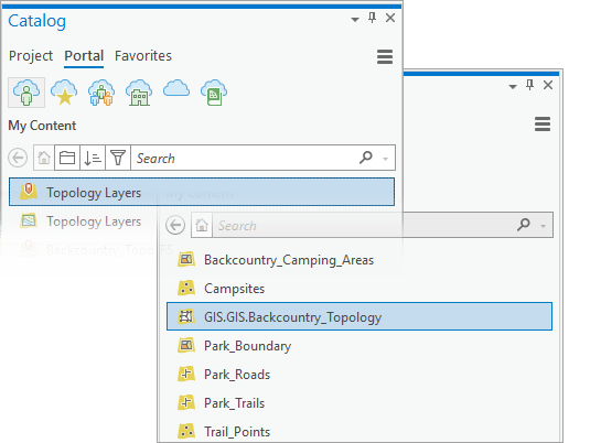 Topology web feature layer