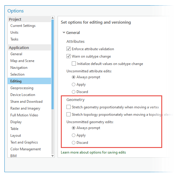 Editing Options for geometry