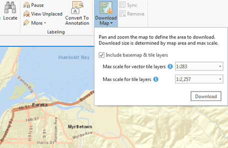 Vector and raster tile layers have different tile limits at the same map scale.