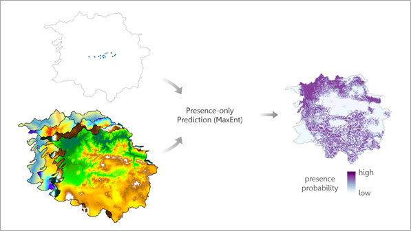 Presence-only Prediction (MaxEnt) tool illustration