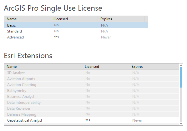 Single Use license information in ArcGIS Pro