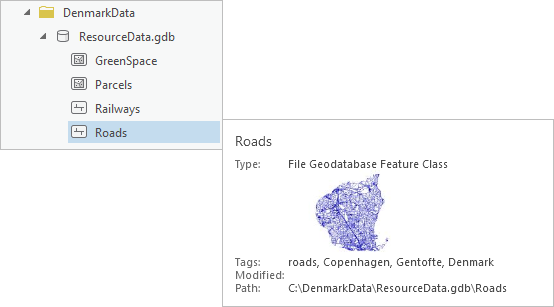 A detailed item pop-up for a geodatabase feature class